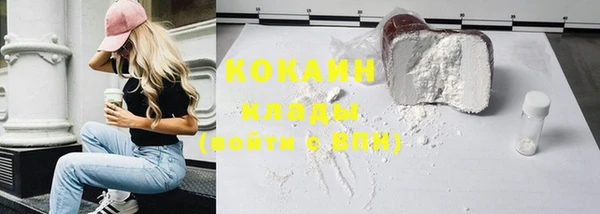 гашик Новокубанск