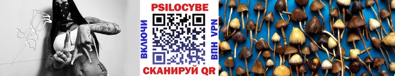 наркота  Сергач  блэк спрут ТОР  Галлюциногенные грибы Psilocybe 